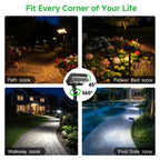 Solar Motion Sensor Pathway Lights (3401)