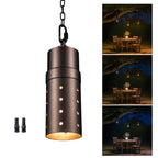 Aluminum Hanging Light (9305)
