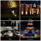 5CCT Spotlight (9101)
