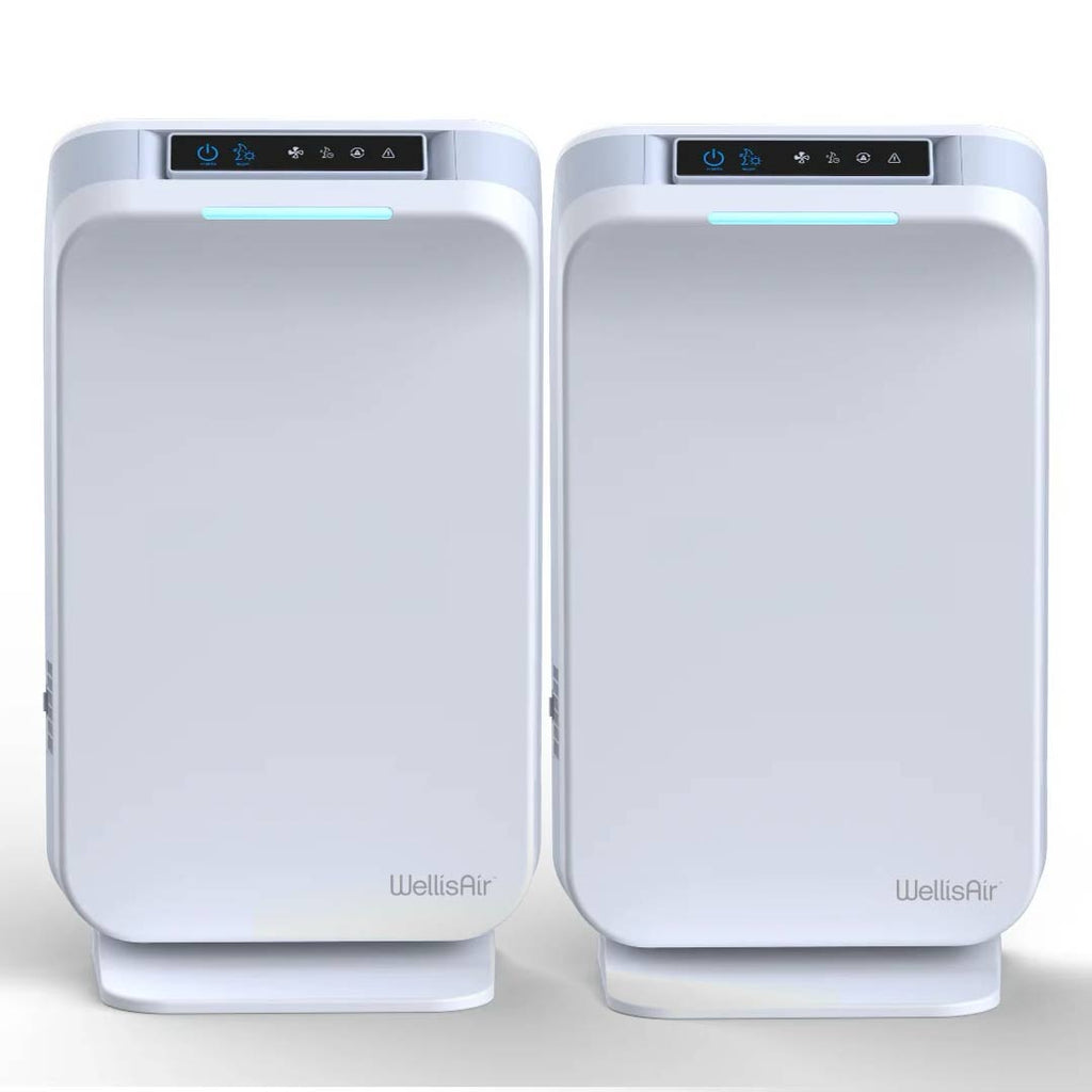 WellisAir Whole Home Revitalization Multi-Unit Bundle