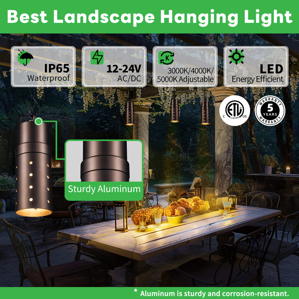 Aluminum Hanging Light (9305)
