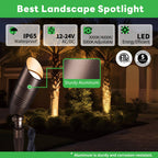 3CCT Spotlight (9105)