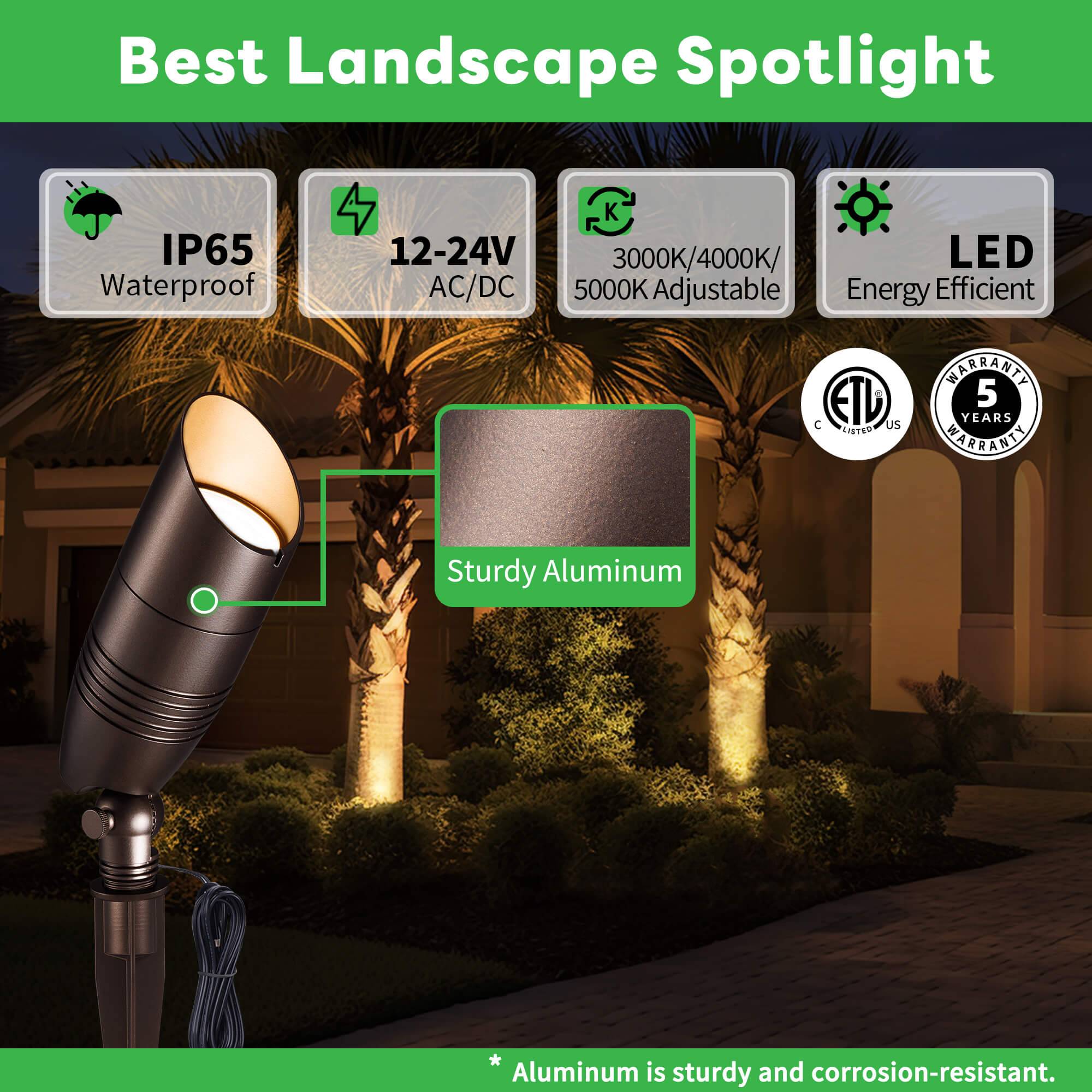 3CCT Spotlight (9105)
