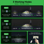 Solar Motion Sensor Pathway Lights (3401)