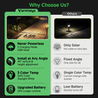 Solar Motion Sensor Pathway Lights (3401)