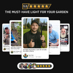 Solar Motion Sensor Pathway Lights (3401)