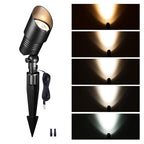 5CCT Spotlight (9101)