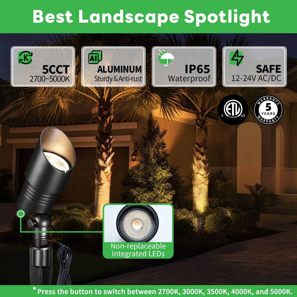 5CCT Spotlight (9101)