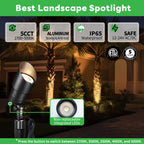 5CCT Spotlight (9101)