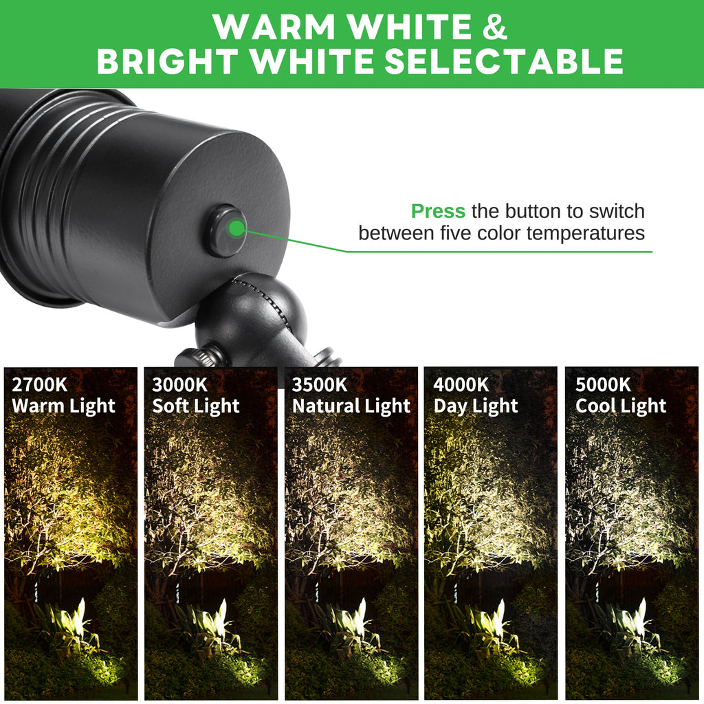 5CCT Spotlight (9101)