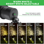 5CCT Spotlight (9101)