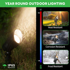 5CCT Spotlight (9101)