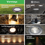 In-ground Light (9201)