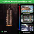 Aluminum Hanging Light (9305)