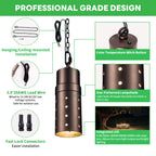 Aluminum Hanging Light (9305)